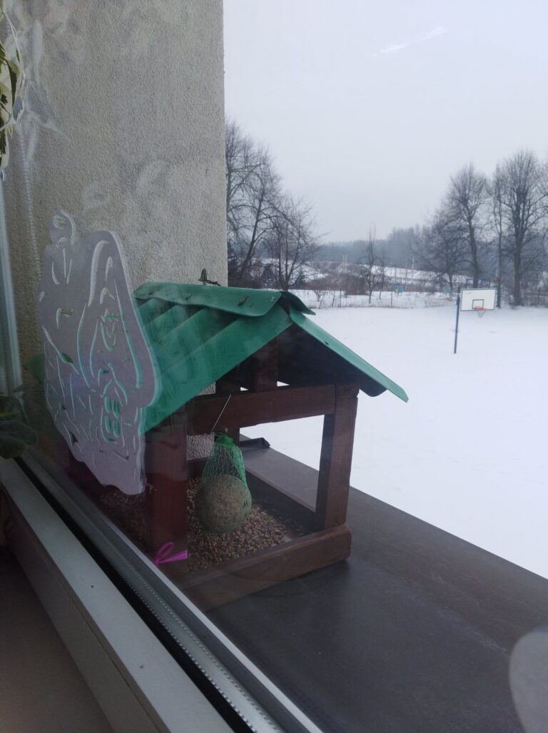 Dokarmiamy Ptaki Scenariusz Zajęć 5 Latki Dokarmiamy ptaki | ROZWIJAMY PASJE