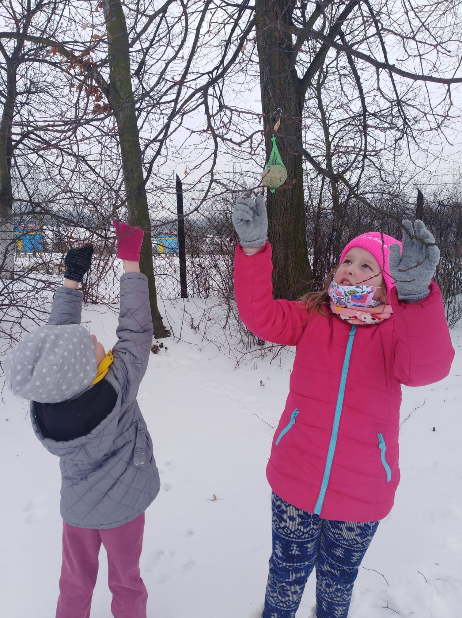 Dokarmiamy Ptaki Scenariusz Zajęć 5 Latki Dokarmiamy ptaki | ROZWIJAMY PASJE